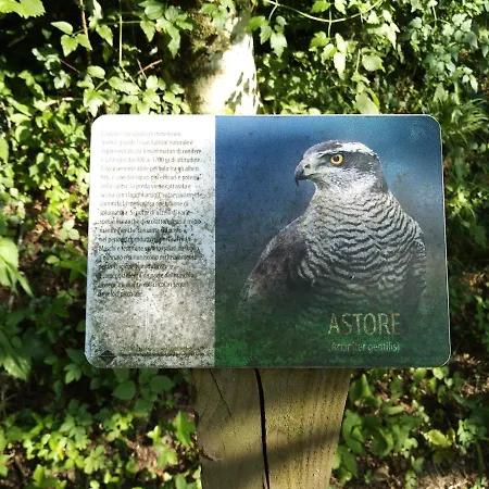 Affittacamere Cuarnan Guest house